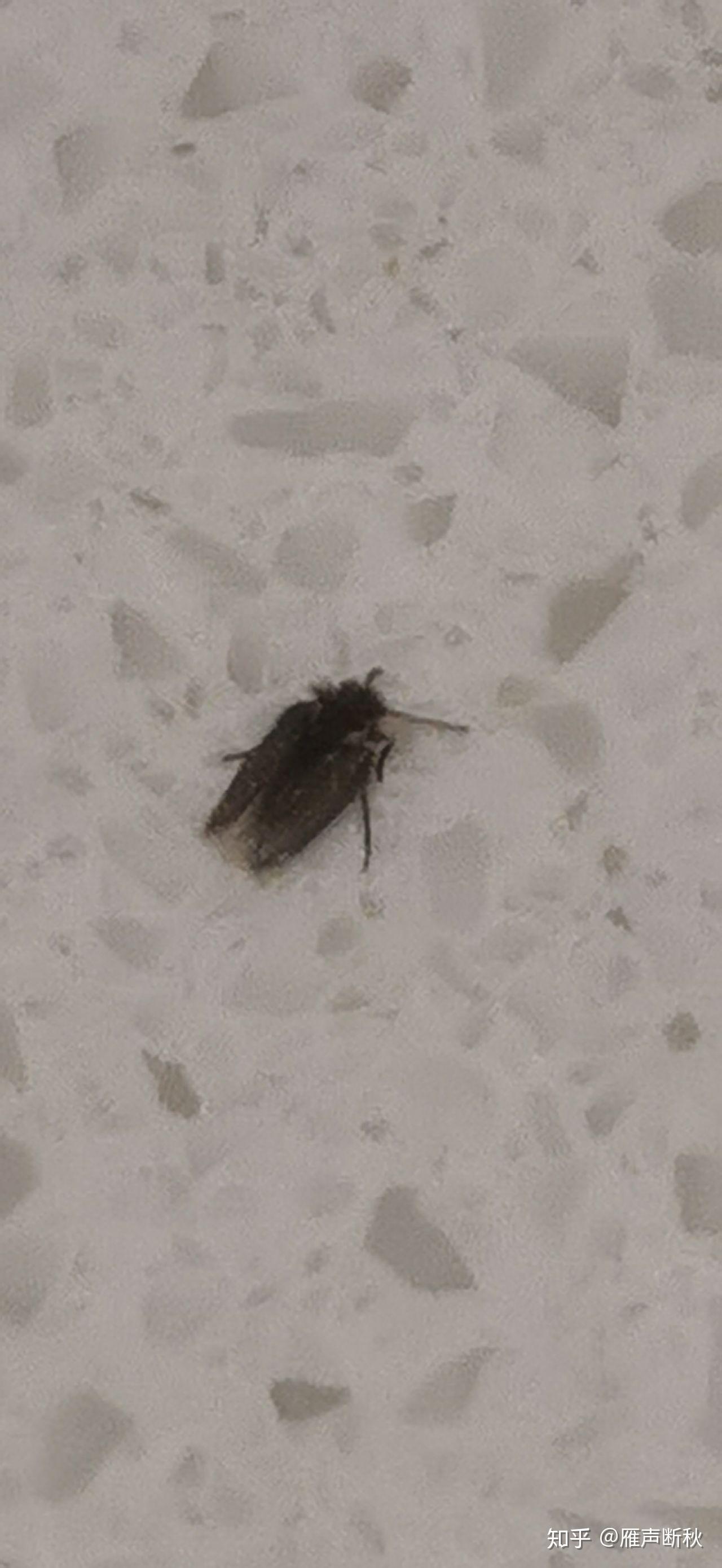娱乐生活 第60页