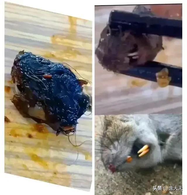 最新资讯 第46页